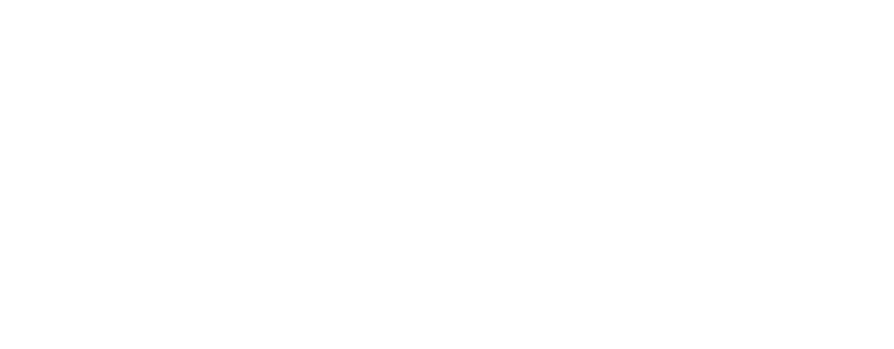 Millennials Consulting
